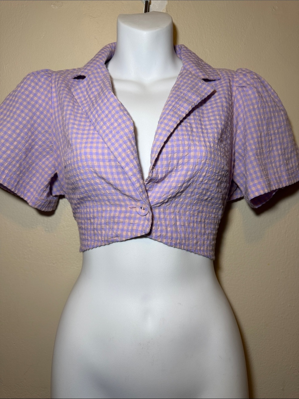 Zara Lavender Gingham Cropped Blazer Top